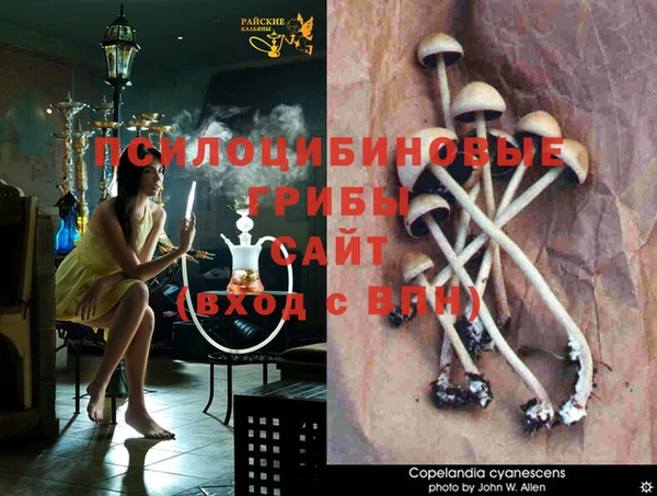 круглые Гусь-Хрустальный